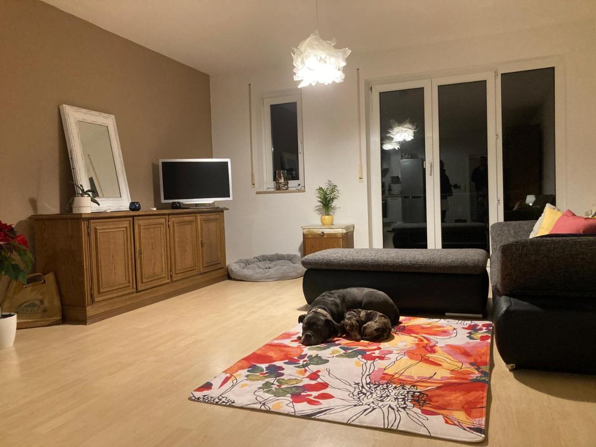 3 Zi Wohnung Haustiere Willkommen Im Markgraeflerland Dreilaendereck Шлинген Экстерьер фото